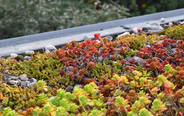 the cost of Siddick green roof installation
