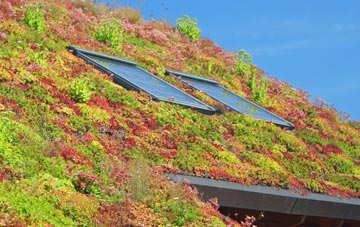 Siddick living roof systems