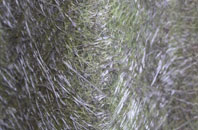 Siddick fibreglass roof work